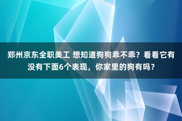 郑州京东全职美工 想知道狗狗乖不乖？看看它有没有下面6个表现，你家里的狗有吗？