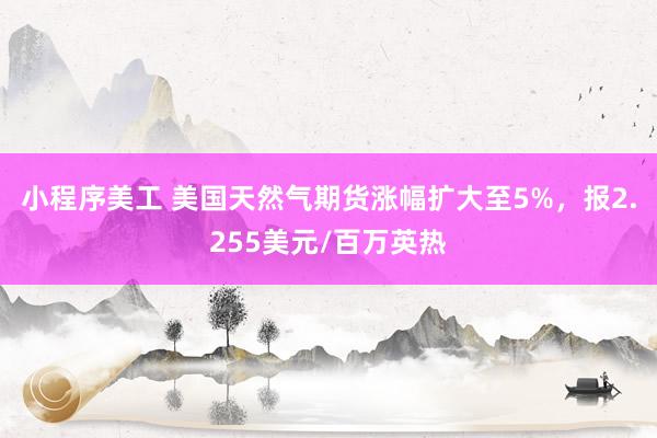 小程序美工 美国天然气期货涨幅扩大至5%，报2.255美元/百万英热