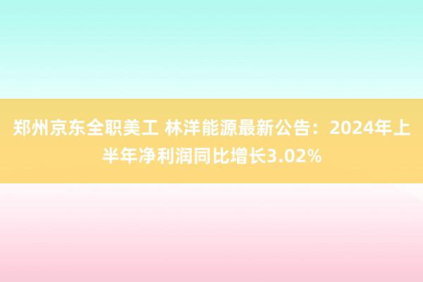 郑州京东全职美工 林洋能源最新公告：2024年上半年净利润同比增长3.02%