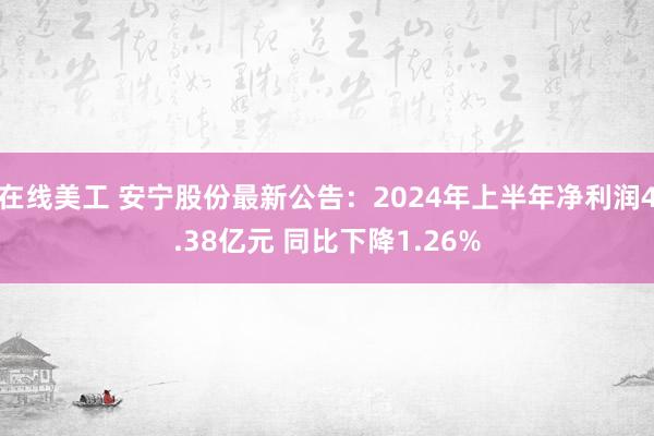 在线美工 安宁股份最新公告：2024年上半年净利润4.38亿元 同比下降1.26%